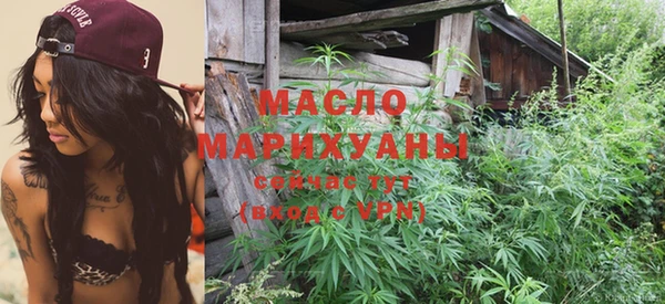 индика Покачи