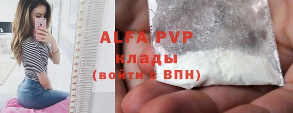 индика Покачи