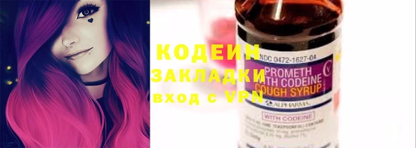 индика Покачи