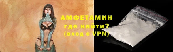 прущие грибы Абинск