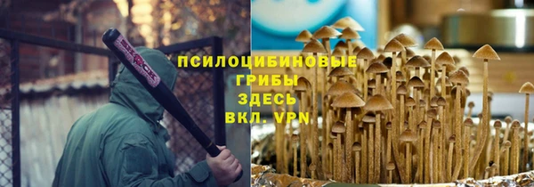 прущие грибы Абинск