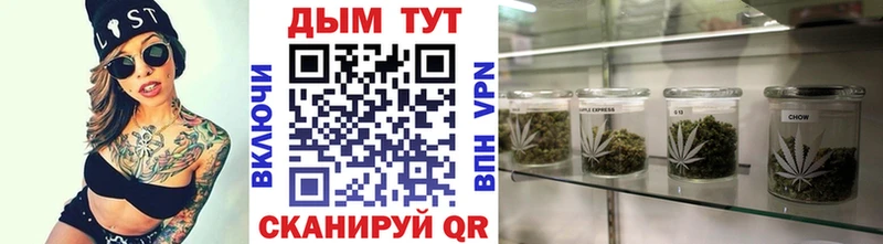 Бошки Шишки планчик  Абинск 